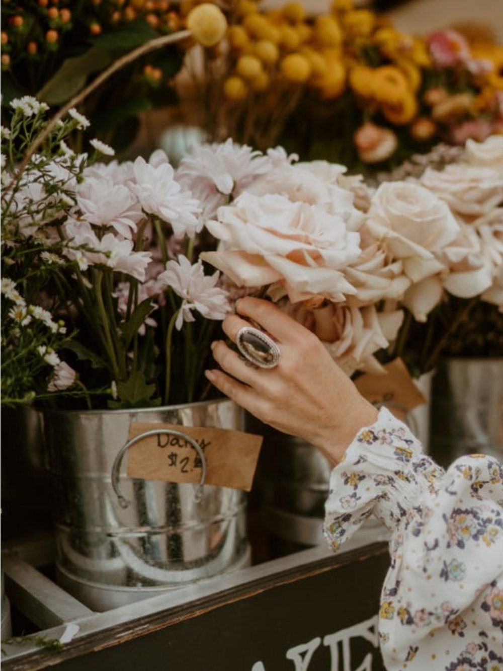 Goldie Lew Belle Meade Ring